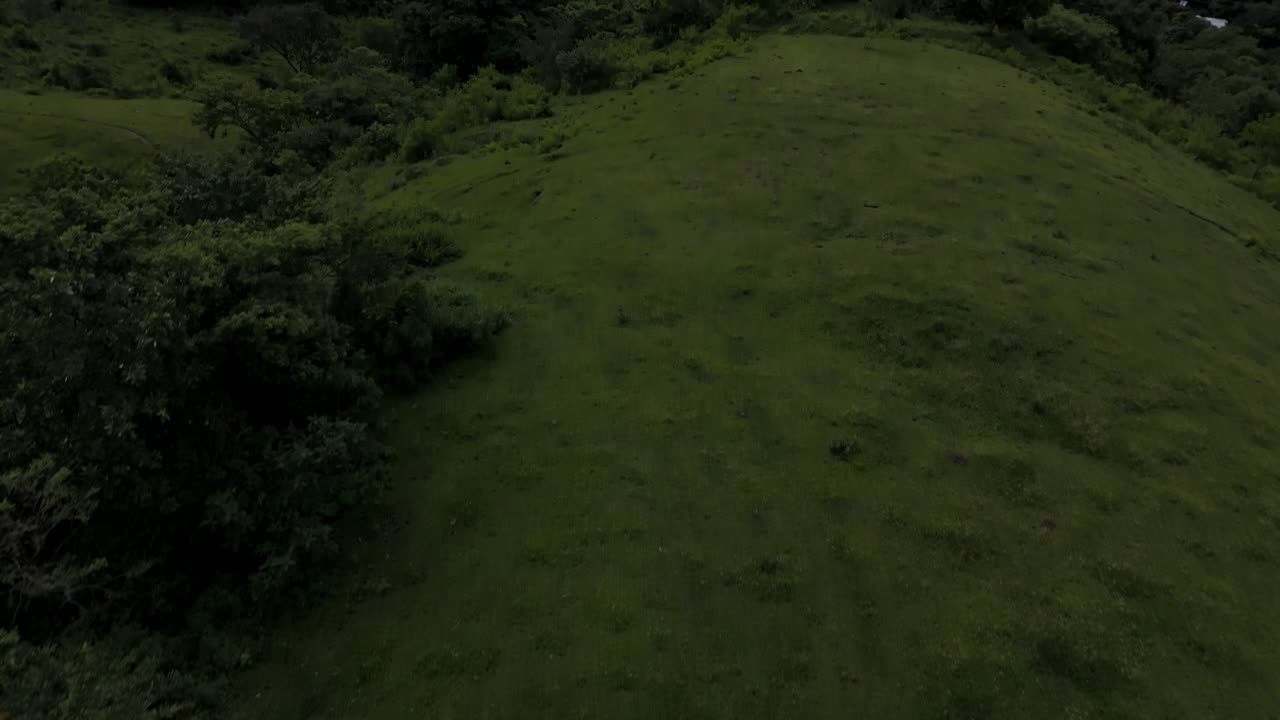 Lush Green Hills in Natural Landscape