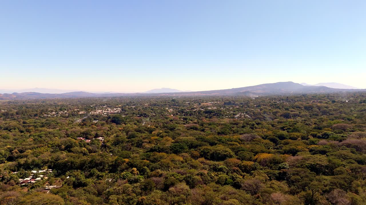 Aerial view of dense tropical jungle on sunny day